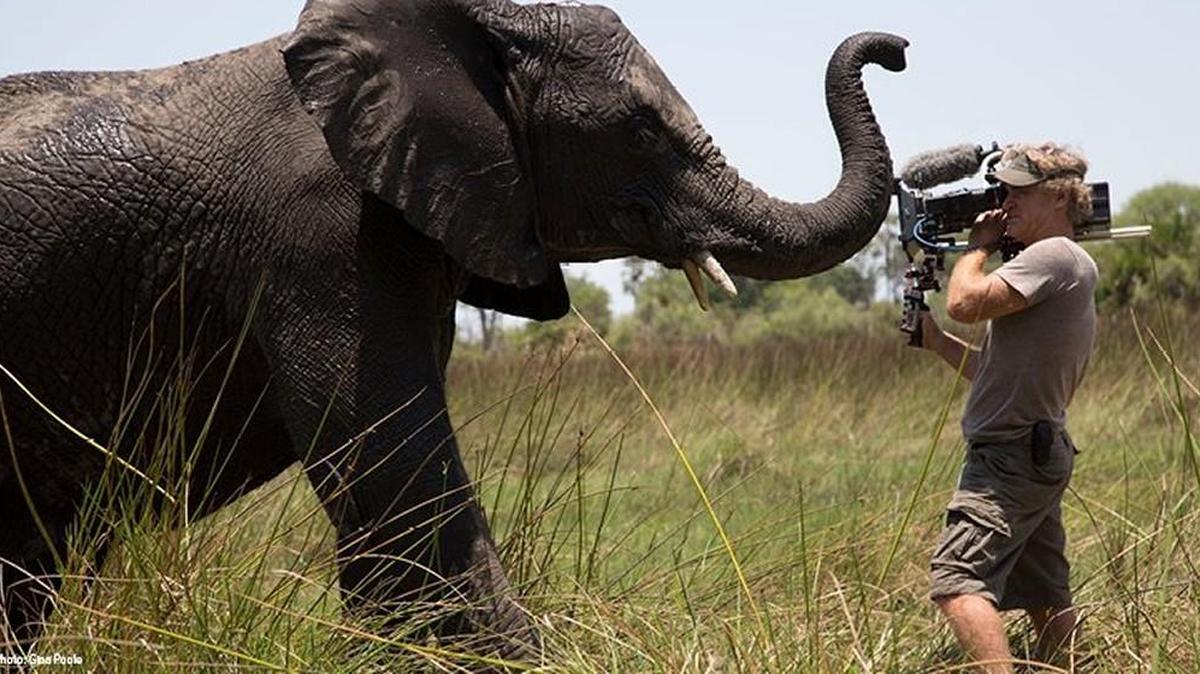 Bob Poole, an Emmy Award-winning cinematographer, will speak as part of the National Geographic Live speaker series on Friday evening at the Washington Center for the Performing Arts.