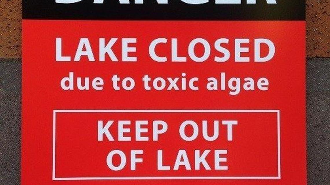 Summit Lake has been closed to fishing and swimming, and county officials are urging people to avoid contact with the water because of a toxic algae bloom.