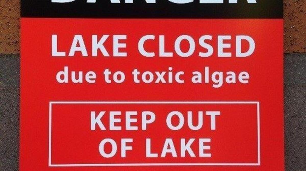 Summit Lake has been closed to fishing and swimming, and county officials are urging people to avoid contact with the water because of a toxic algae bloom.