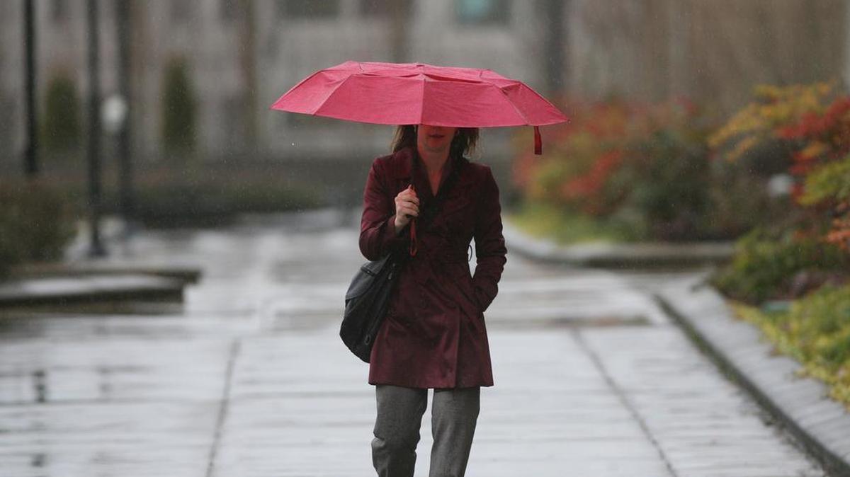 A woman walks through the rain on the East Capitol Campus on Tuesday, Jan. 12, 2010.