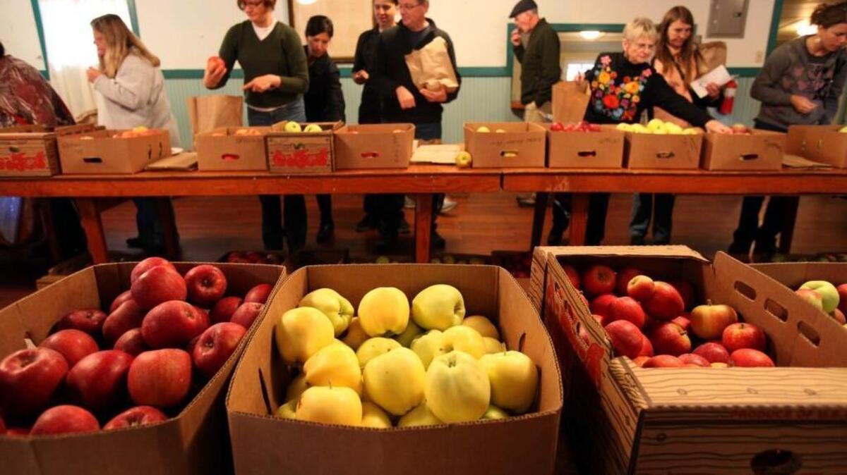 Rows of produce boxes featuring 40 varieties of apples were on display for tasting and purchasing at the Apple Affair held Sunday at Rignall Hall at the corner of Steamboat Island Road and 81st Ave. NW.