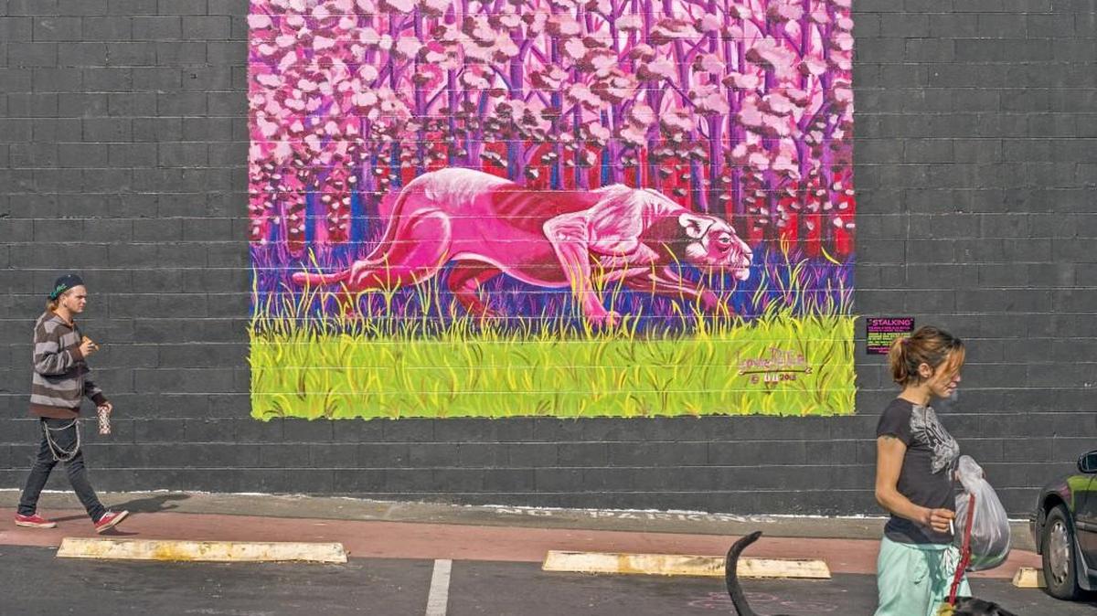 
This mural near the artesian well in downtown Olympia is based on “Stalking,” a painting by Leonard Peltier. 
