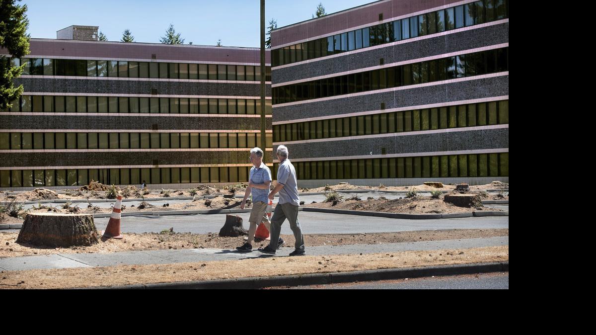 
The parking lot of the Woodland Square office complex sits bare after being cleared of trees and shrubbery in Lacey, shown here on Tuesday, July 28, 2015.
