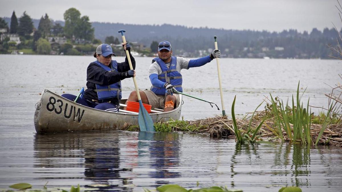 Volunteers with the Puget Soundkeeper Alliance look for marine debris in Puget Sound during an annual clean-up day. The nonprofit organization has conducted two rounds of extensive water sampling for microplastic pollution in and around the Puget Sound using “citizen scientist” volunteers.