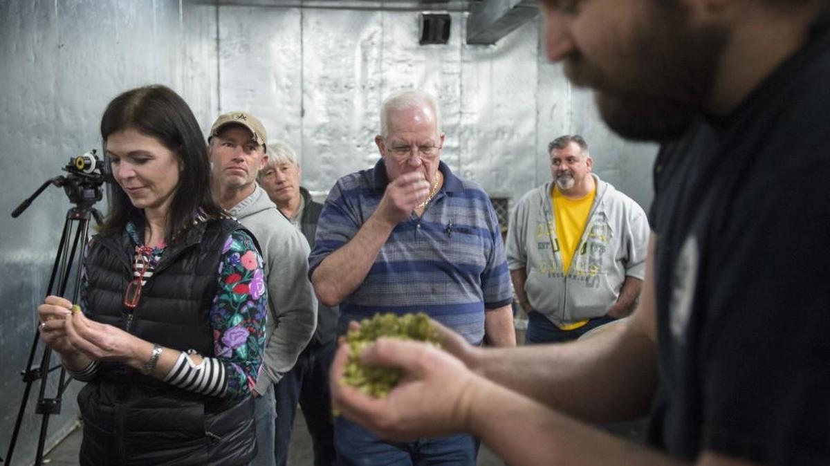 Heidi Behrends Cerniway (left) and John Rex, both of Olympia, feel and smell a sample of hops from instructor Paul Peterson during South Puget Sound Community College's "Brewing Science for the Home Brewer" class at the Fish Brewing Company in downtown Olympia on Saturday, March 5.