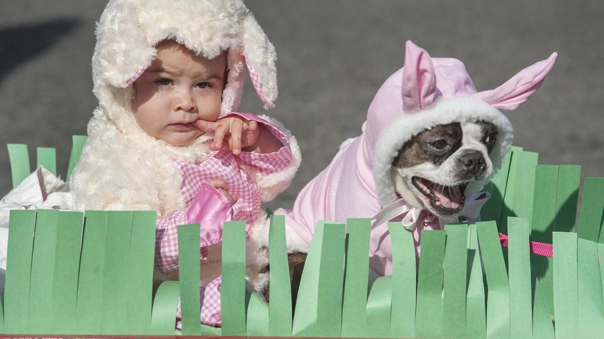 Skyler Munoz (lamb) and Lucy the Boston Terrier (pig) at the 2015 Pet Parade in Olympia.