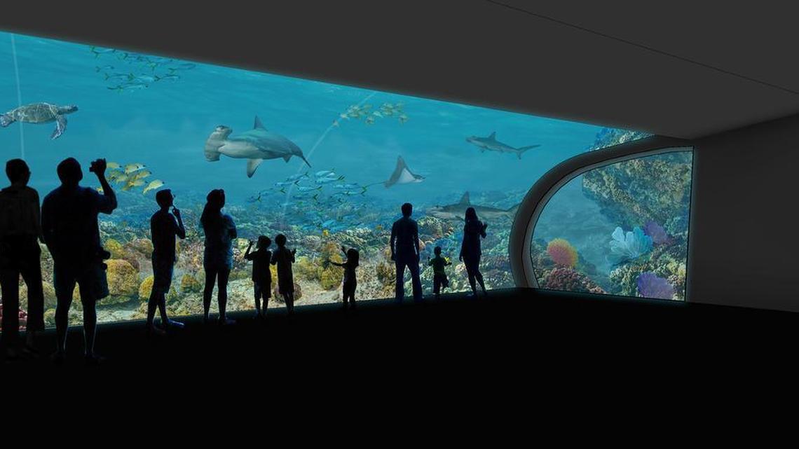 
Scalloped hammerhead sharks, green sea turtles and other aquatic life are planned for a warm-water exhibit showcasing animals that can be found along the Gulf of California between the Baja Peninsula and the mainland of Mexico.
