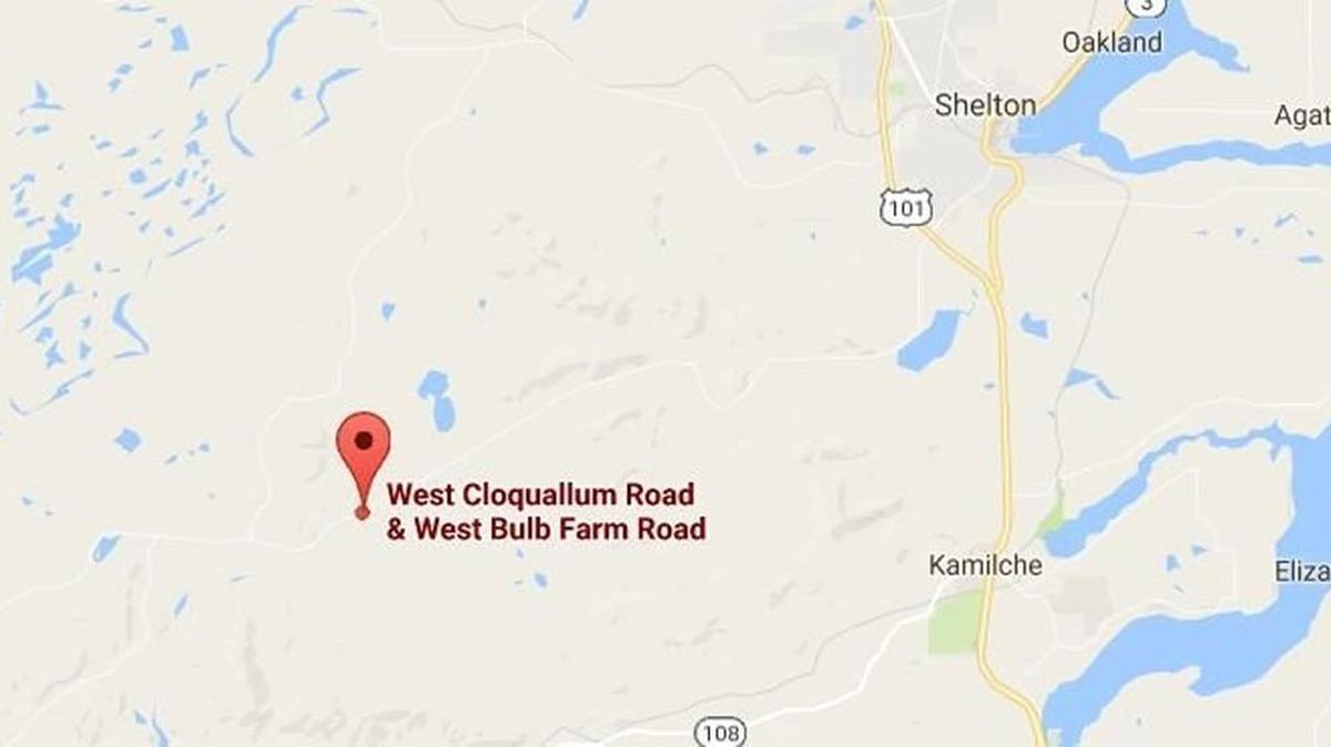 A power outage west of Shelton early Wednesday morning was caused by a tree over power lines near West Cloquallum Road and West Bulb Farm Road, according to Mason County PUD 3.