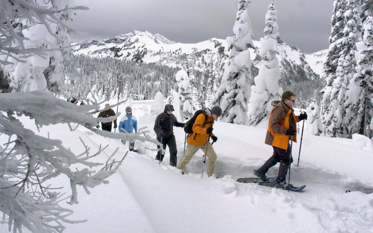 As the weather improves there are more chances to join some of the organized group outdoor activities in the Tri-Cities.