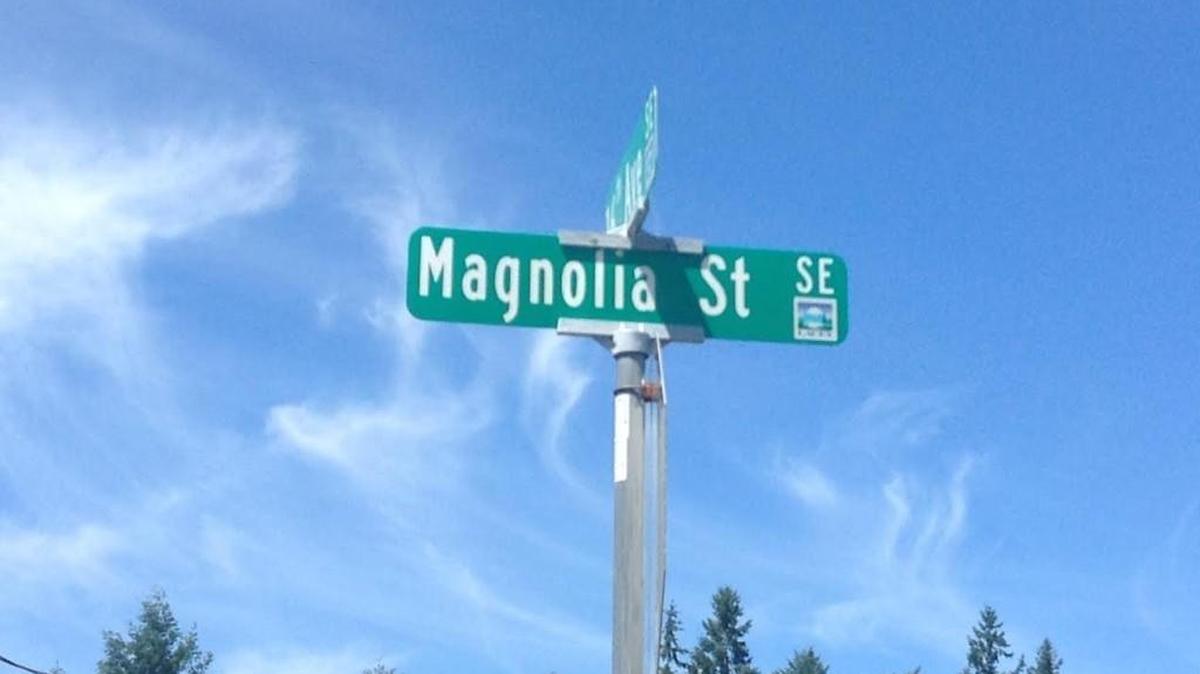 Five Lacey police officers were needed to subdue a domestic violence suspect in the 1600 block of Magnolia Street on Friday.