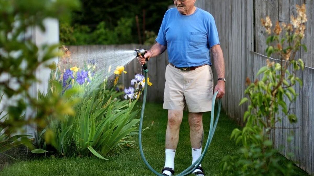 Lacey’s alternate watering day schedule beings June 1.
