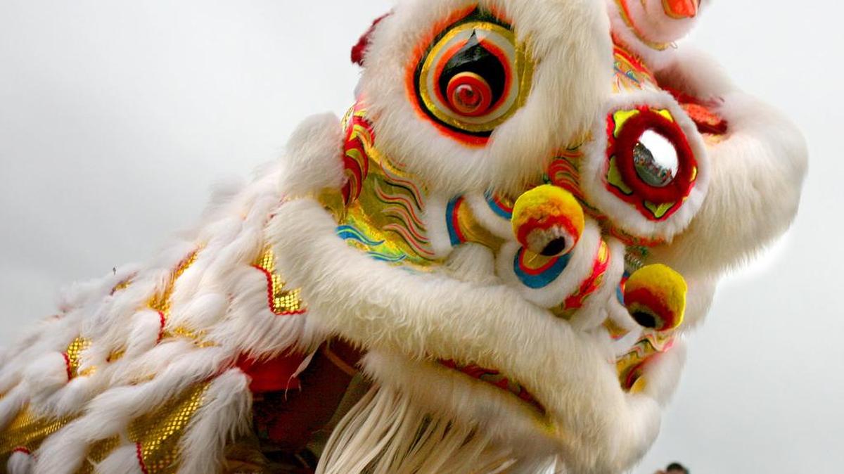 Lien-Hoa Buddhist Temple’s Lion Dance team will perform at various businesses in Olympia and Lacey on Saturday to celebrate the lunar new year.