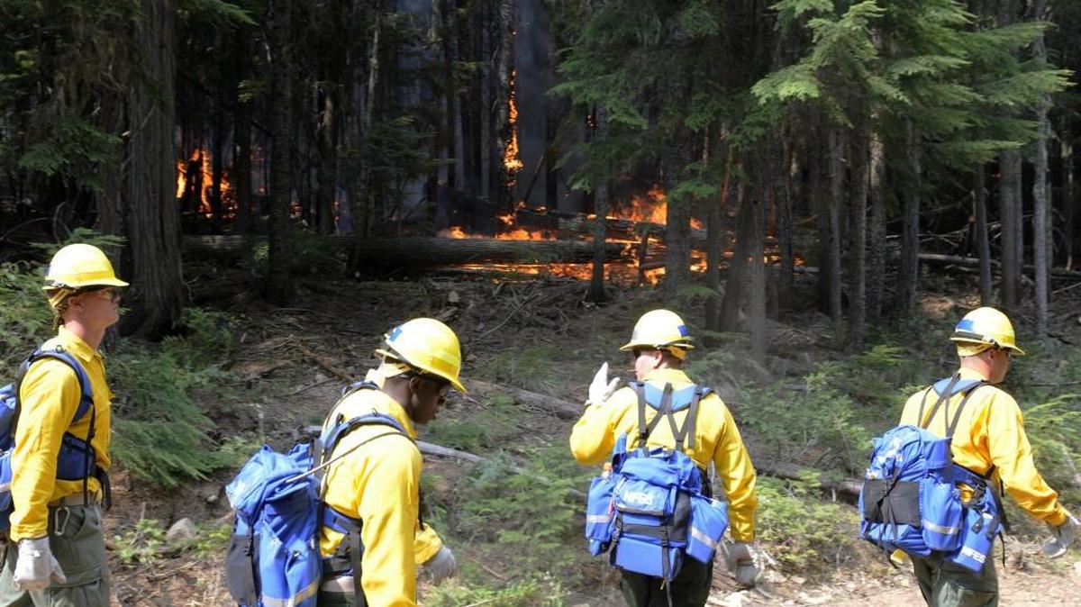 
Joint Base Lewis-McChord soldiers are back from a three-week assignment fighting wildfires in Eastern Washington. In this Oct. 24 image, troops walk past a wildfire burning in the Onata fire in the Colville National Forest.
