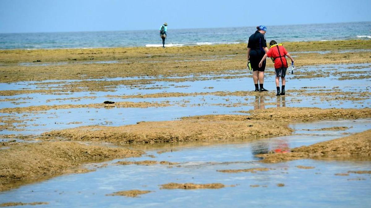 Becky Snider and son, Nathan, from Washington state, walk through Okinawa's Maeda Flats, popular with Americans and locals on Okinawa.