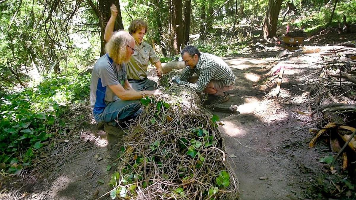 City of Olympia lead Recreation Specialist Charles Rambo ties off a burlap bundle of pulled ivy for use as a berm as volunteers Matthew Smith (left) and Jan Vleck lend a hand during a clearing and enhancement session along a new trail Sunday in Priest Point Park. Stories in the Park are presented Saturday evening.