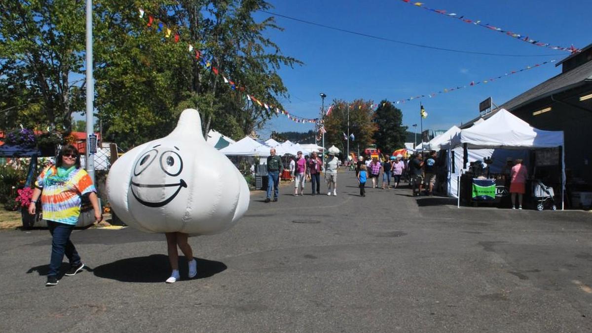 You may run into the giant garlic bulb named Garlicious if you attend this weekend’s Chehalis Garlic Fest.