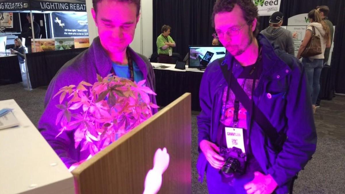 Pepijn van der Krogt shows off a Cloudponics growing system to Seattle marijuana journalist Brad Coleman at CannaCon in Seattle on Friday.