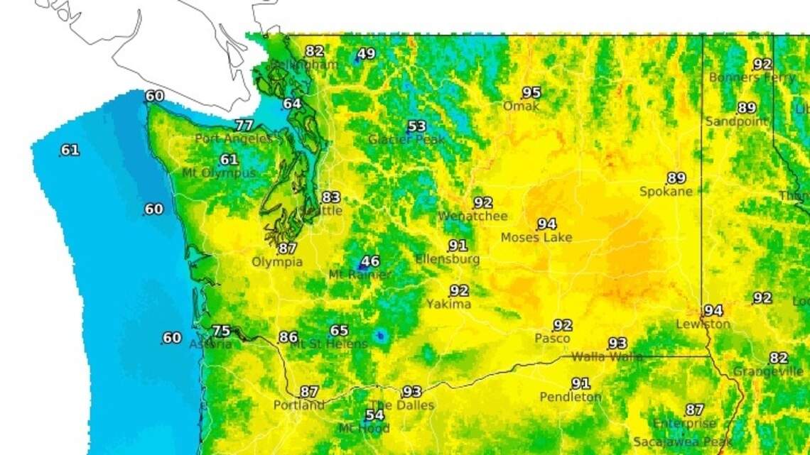 Olympia area under heat advisory this week. How hot will it be?