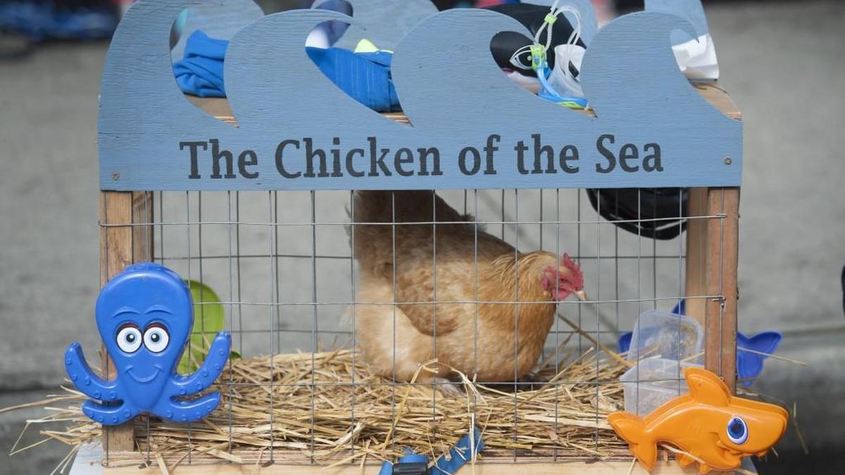 Even the Chicken of the Sea made an appearance at the annual Pet Parade in Olympia last year. The 2016 Pet Parade is Saturday.
