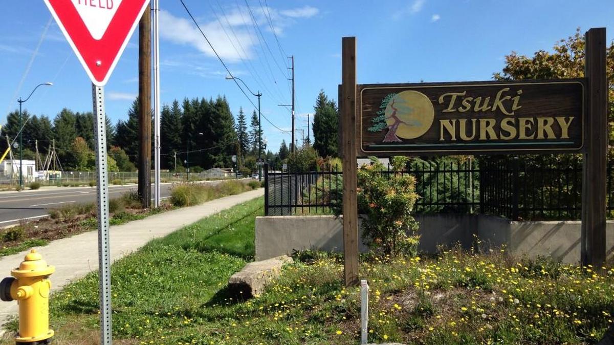 
Property owners want the city of Olympia to annex 8.5 acres at the southeast corner of Yelm Highway at Henderson Boulevard. The proposed annexation area includes Tsuki Nursery, which consists of two parcels, along with two single-family homes.
