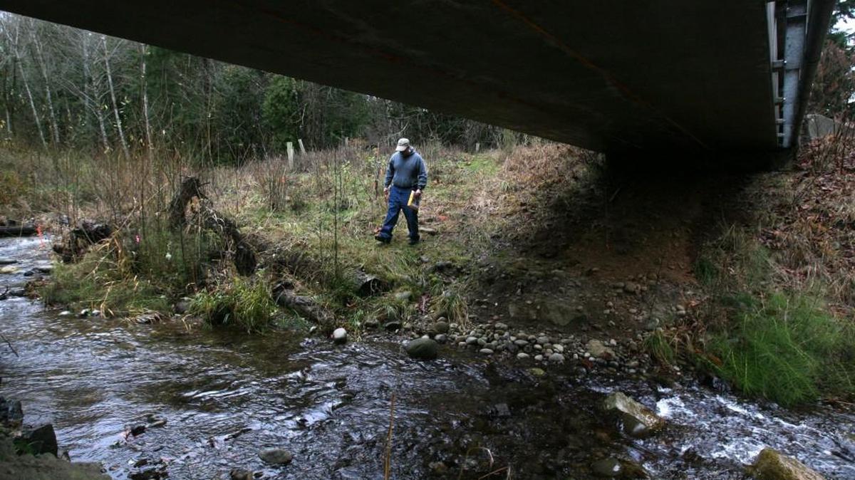 A habitat specialist with the Thurston Conservation District walks near a restored salmon habitat area on Beatty Creek in the Delphi Valley. Conservation districts are public, non-regulatory agencies that work with landowners to manage land and protect natural resources, offering help with things like habitat restoration, stormwater management, and noxious weed control.