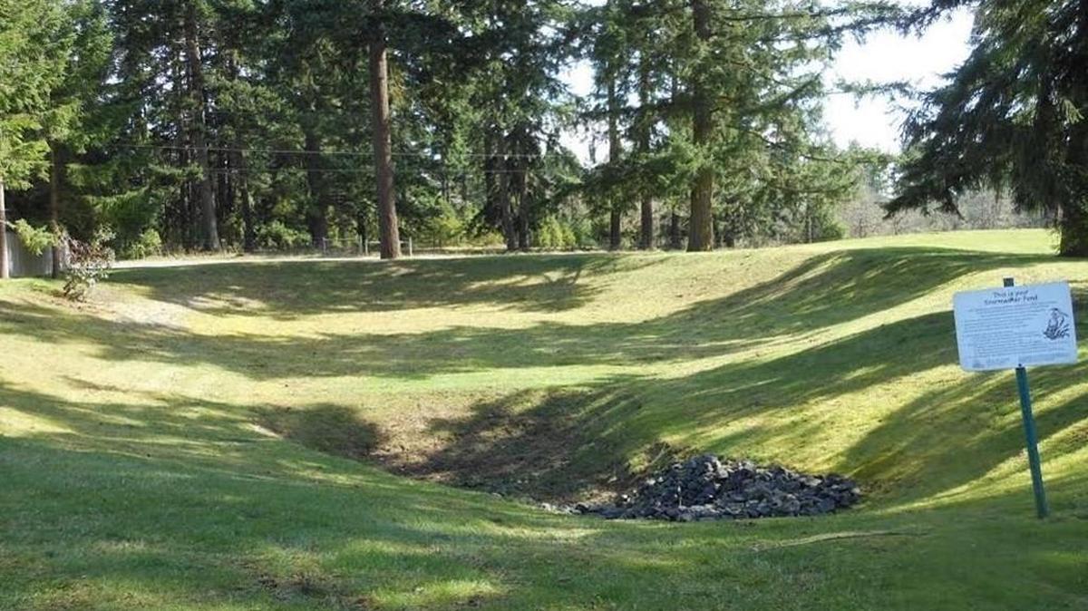 Lake Forest Home Association’s stormwater pond is one of more than 1,000 privately owned stormwater ponds in the Thurston County. Residents can learn how to maintain a stormwater pond during a free workshop on April 16.