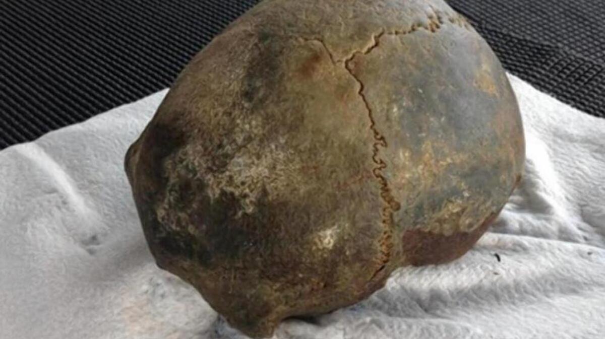 The skull was discovered by fishermen in February 2014 about 3 miles offshore near Westport and was turned over to the FBI.