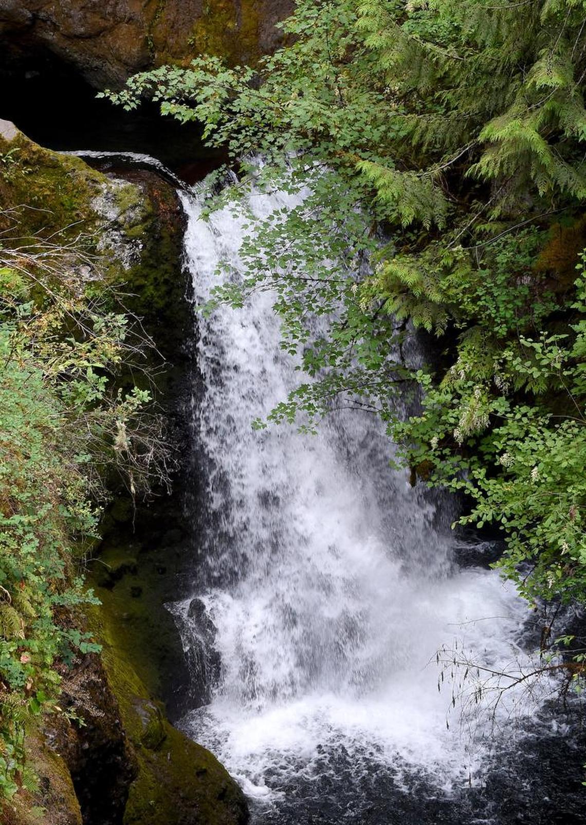 The scenic beauty and diverse ecosystems on display at Deschutes Falls Park will once again be available for the public’s enjoyment after its scheduled fall reopening. photo taken July 13.2017