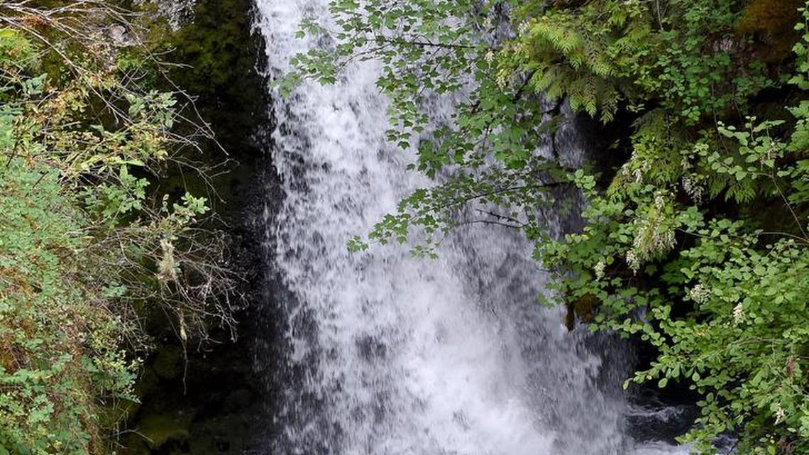 As Thurston County weather warms, check out these waterfalls, rivers and saltwater sights