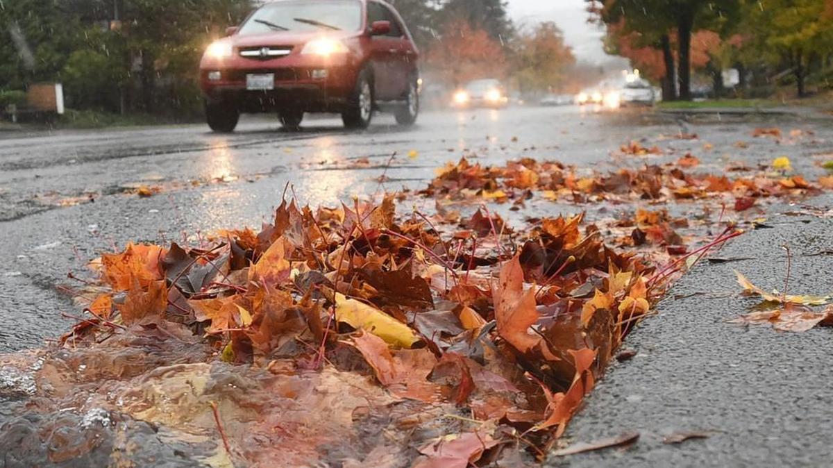 Drivers slog their way up Fourth Avenue East in Olympia.
