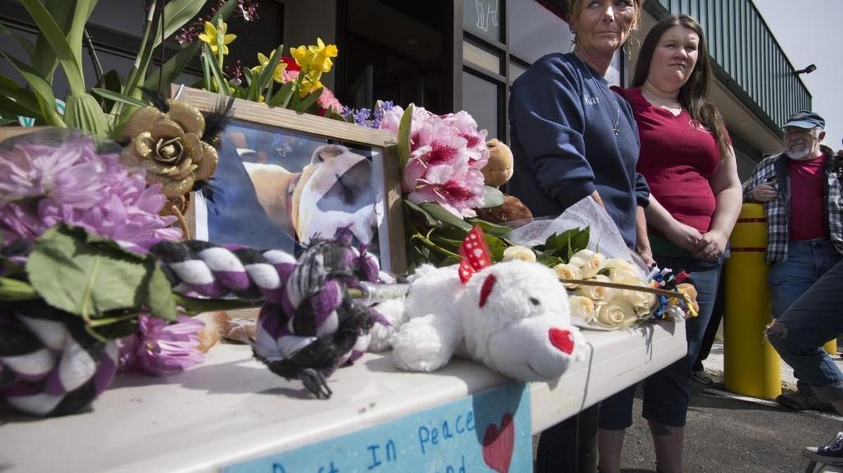 Karin Riley (left) of Lacey, and Samantha Dirkse of Olympia pause alongside a tribute to Diamond, a pit bull dog found dead hanging from a tree off Highway 8 in March, during a memorial service at Thurston County Animal Services on Saturday, April 16, 2016,