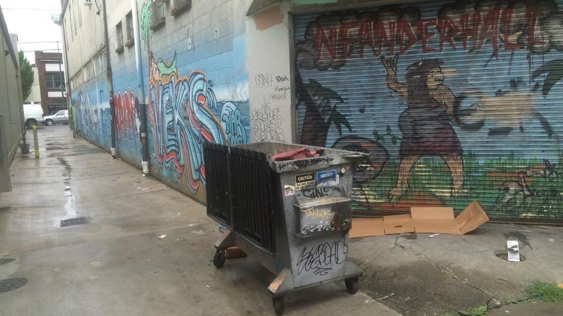 This alley runs parallel to Cherry Street between Fourth Avenue and State Avenue (in the 500 block) in downtown Olympia. The Downtown Ambassador Clean Team regularly cleans up human waste in this alley.