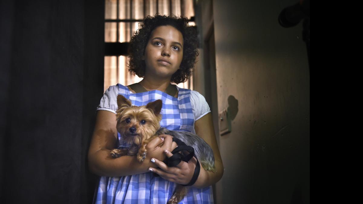 
Destini Sigler, 15, waits off stage with co-star McGraw the dog, during rehearsal for Creative Theater Experience’s production of The Wizard of Oz at Olympia High School on Wednesday. 
