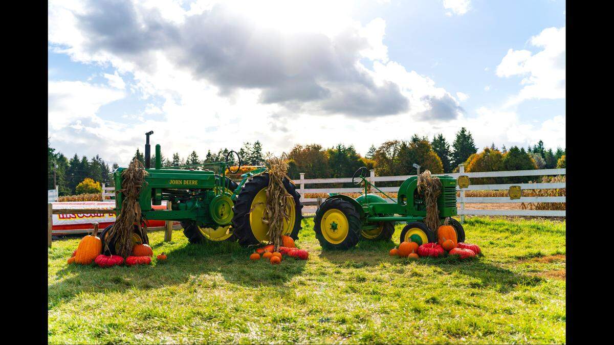 Rutledge Family Farm has fall fun planned in 2025.