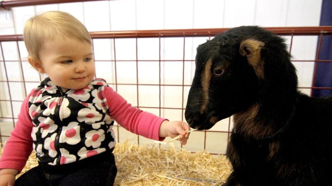 Small children are susceptible to picking up illnesses because they are more likely to put their hands in their mouths.