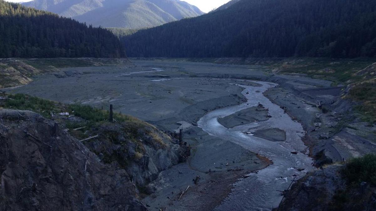 The Elwha River winds through the bed of what was Lake Mills in Olympic National Park.
