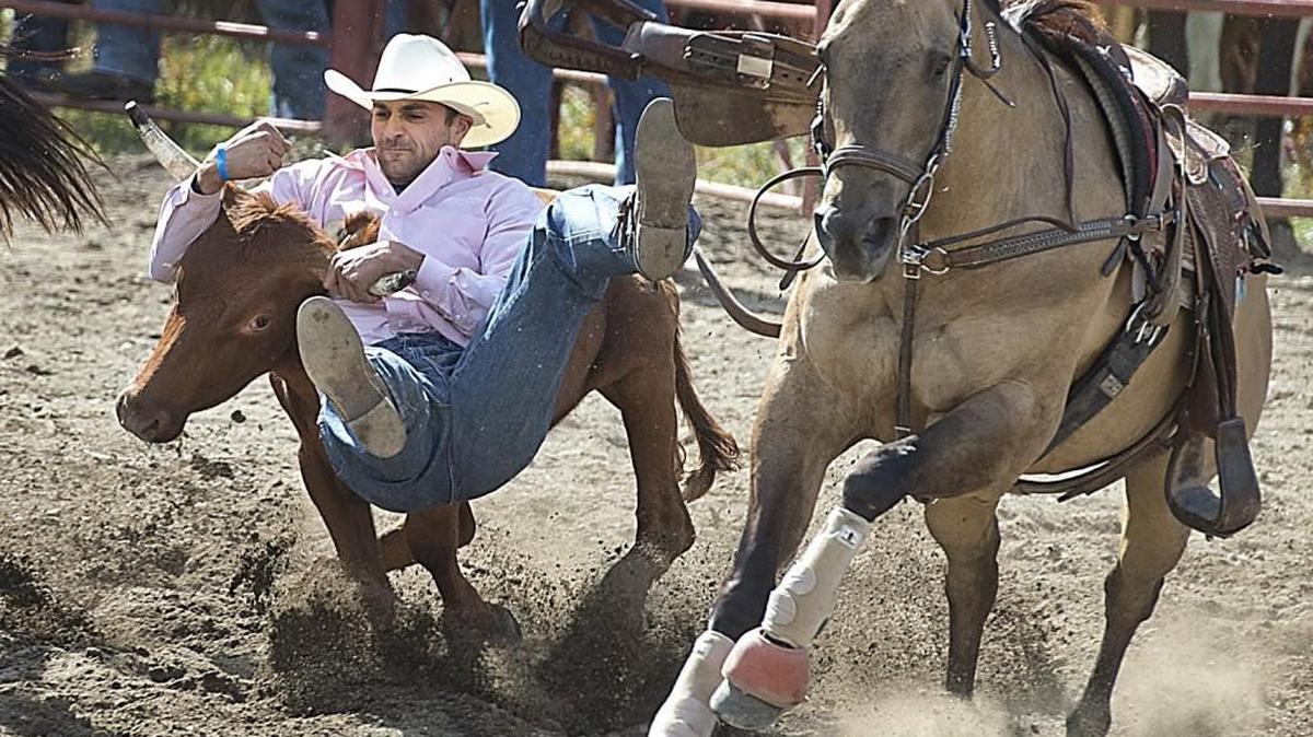 
John Green of La Grande, Ore., competes Saturday in the steer wrestling event at the Roy Rodeo. Also known as bulldogging, a horse-mounted rider chases a steer, dismounts from the horse to the steer, then wrestles the animal to the ground by twisting its horns.
