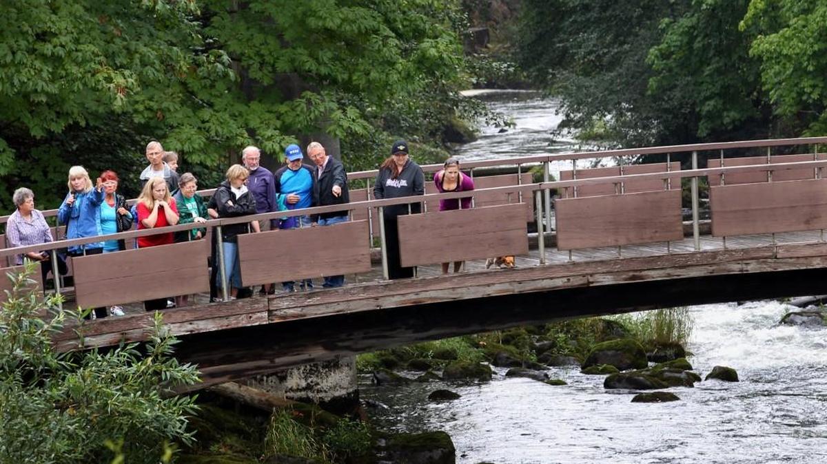 Olympia Tumwater Foundation tour guide Carla Wulfsberg stops on the pedestrian bridge that spans the Deschutes River at Tumwater Falls Park while conducting a Riverwalk Tour in 2013. The park is being renamed Brewery Park at Tumwater Falls.