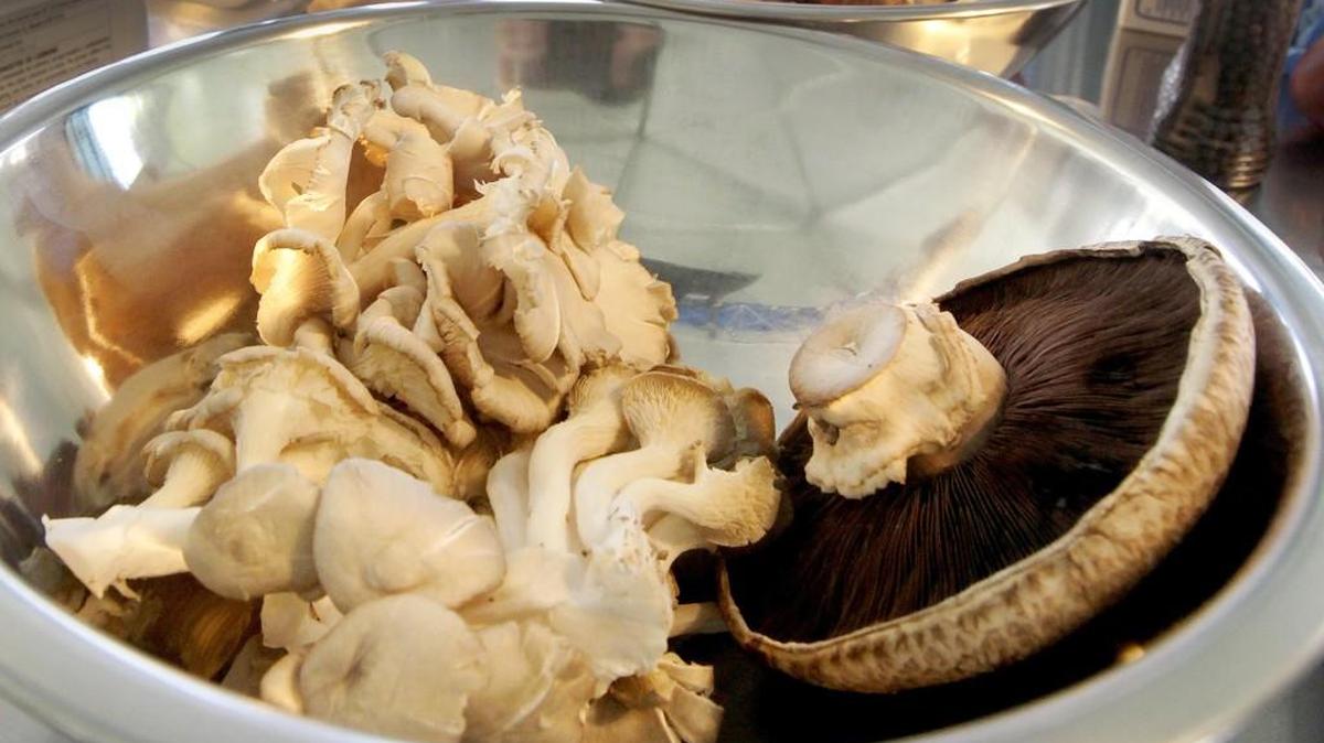 The Pacific Northwest Mushroom Festival will take over the Regional Athletic Complex July 29-30.