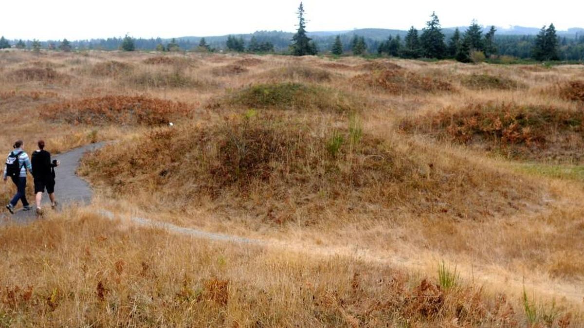 Becca Stephens and Kristine Kordell of Tacoma wander through the Mima Mounds Natural Area Preserve in September 2012.