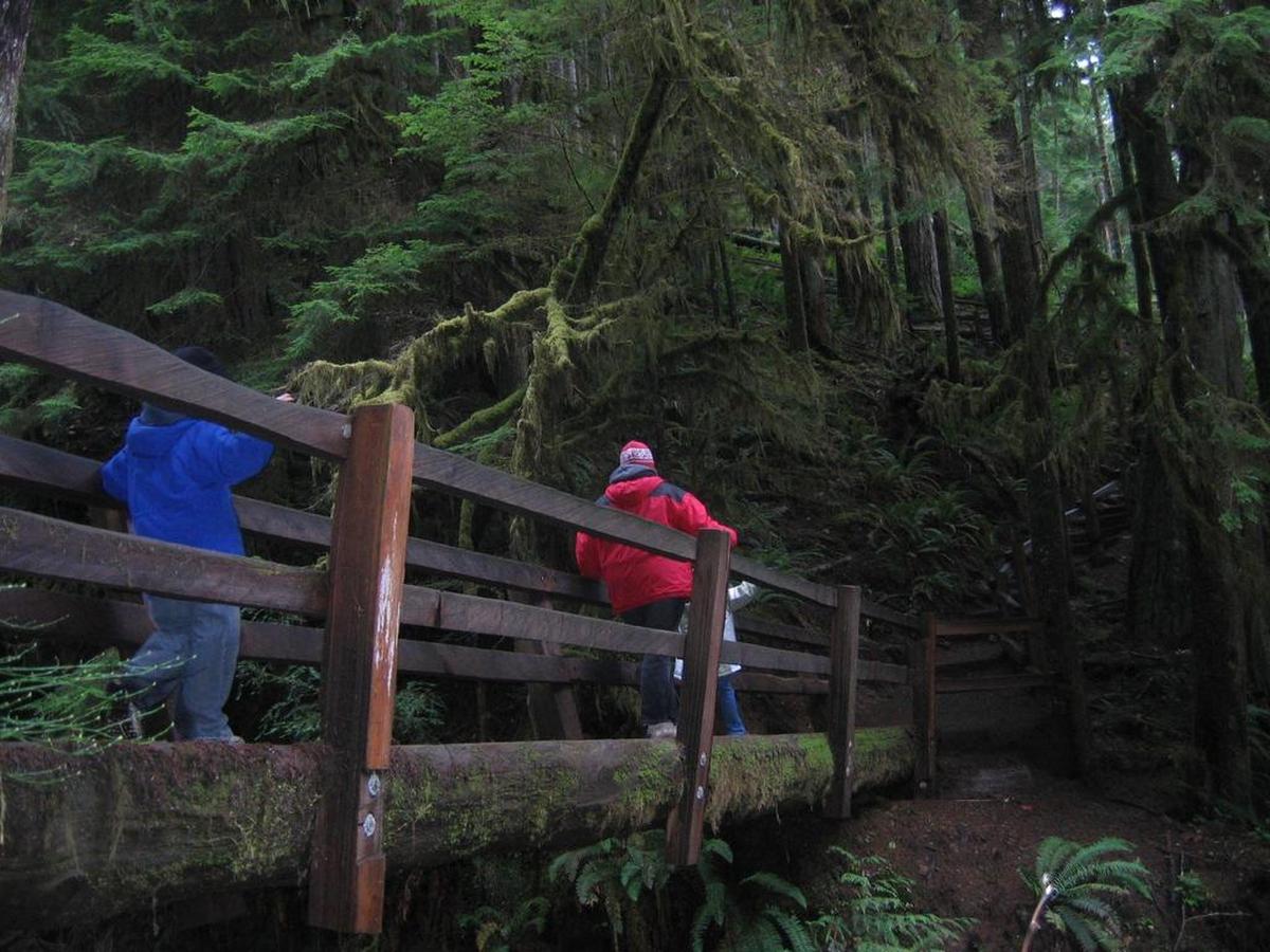 Olympic National Park