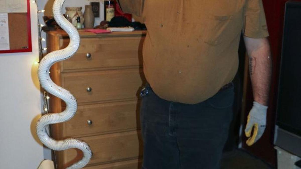 Lonnie Anderson shows off a 5-foot snake he caught outside of an apartment complex in Tenino. His niece Brittney Anderson found the snake Tuesday evening.