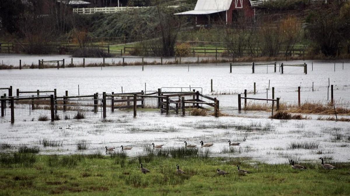 Flooding could be come increasingly common in the Puget Sound region as the climate warms, according to a new University of Washington study.