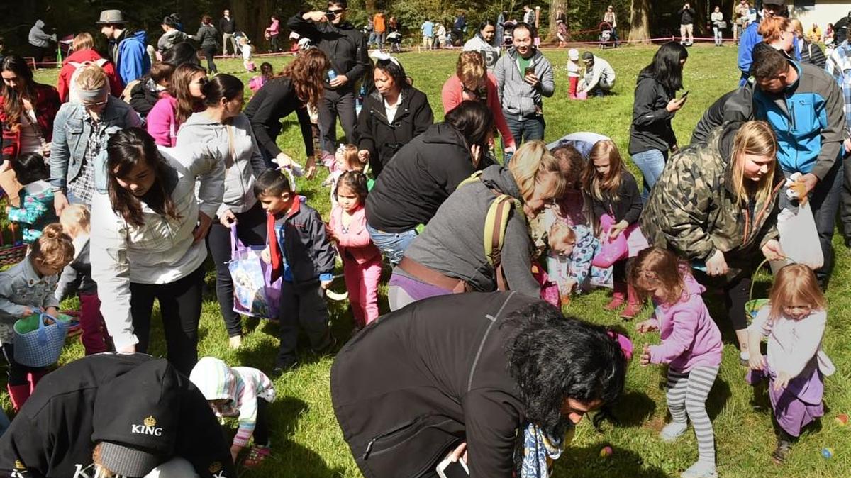 A wave of young treasure hunters overwhelm the playfield as the Olympia Eagles Aerie 21 hosted its 50th annual easter egg hunt in 2016 at Priest Point Park, and distributing 21,000 plastic eggs. See What’s Happening listing for 2017 egg hunts.