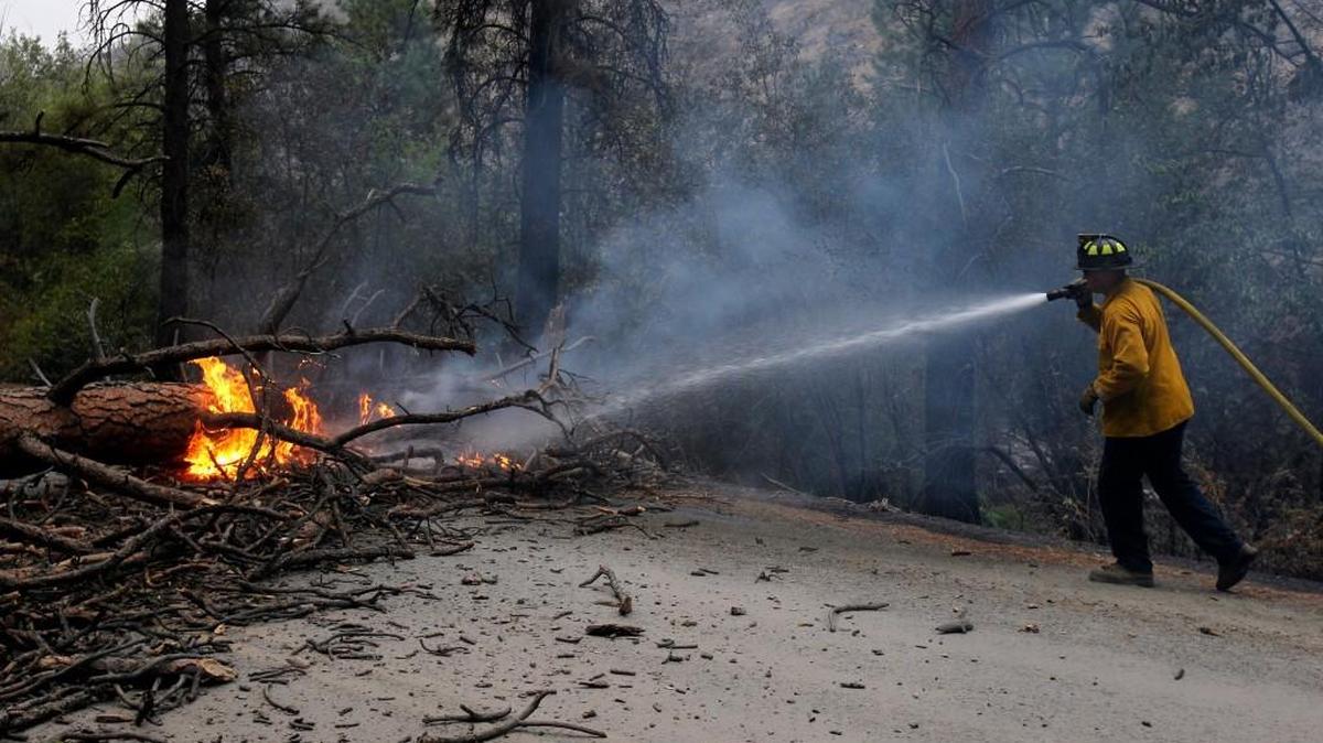
Lacey firefighter Ryan Sundberg puts out a burning tree that fell across Salmon Creek Road outside of Okanogan County, as wildfires continue to burn through out north-central Washington.
