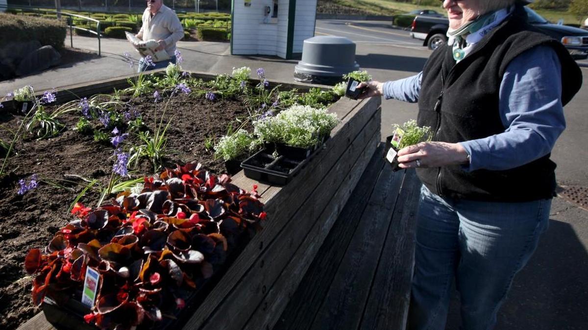 Lacey Sunrise Lions volunteers Roberta and Bob Pinson add some new color to the Centennial Station garden bed in preparation for its 20th anniversary in May 2013. The Lacey Sunrise Lions Club yard sale is 9 a.m. to 4 p.m. Friday and Saturday at 2402 Abernethy Road NE (off of Sleater-Kinney Road and 26th Avenue) in Olympia. Sales support Lions projects. Bring old glasses and hearing aids to drop in the NW Lions Eyeglass Recycling collection box.