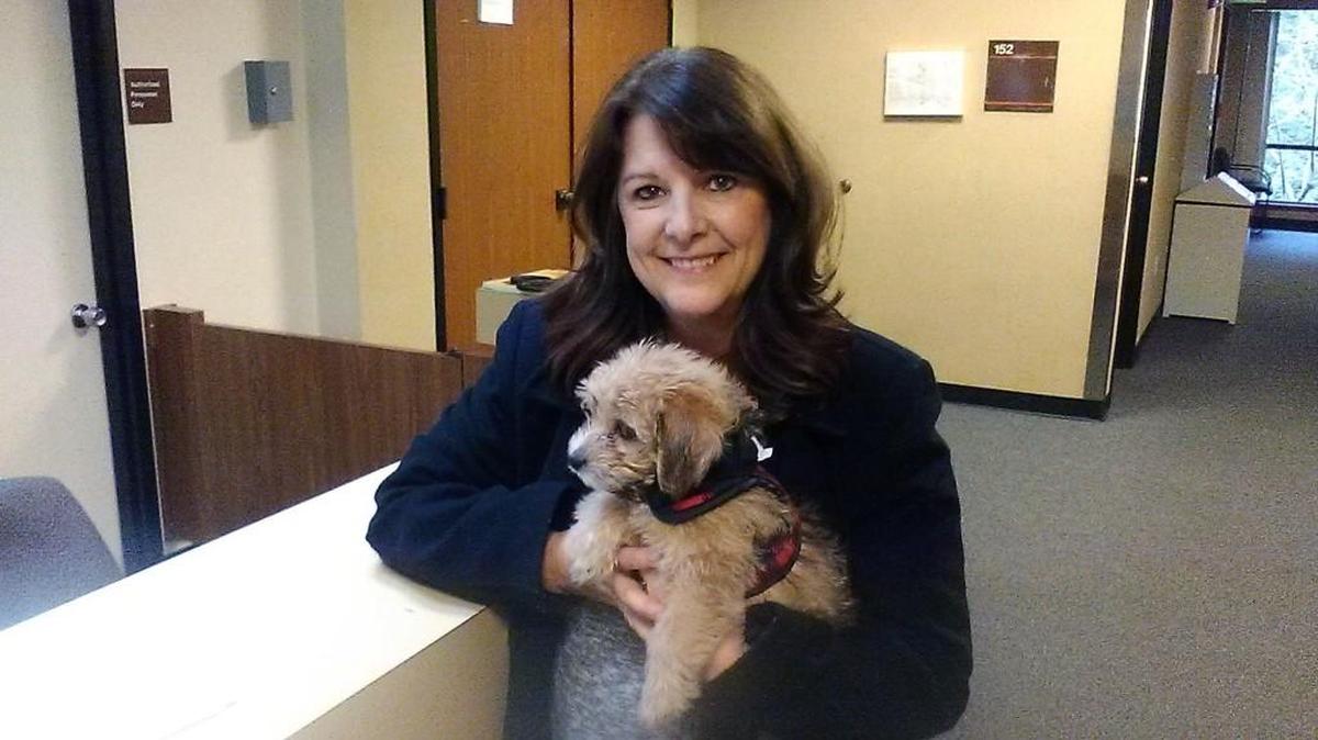 Deborah McLain stands with her dog, Benji, at the Thurston County Courthouse. McLain and her husband, Steve, have been trying to secure a pocket gopher development permit to build a house on a half-acre of their 8-acre plot of land south of Tumwater since last April. She said the county should develop an interim process allowing people to secure the permits.