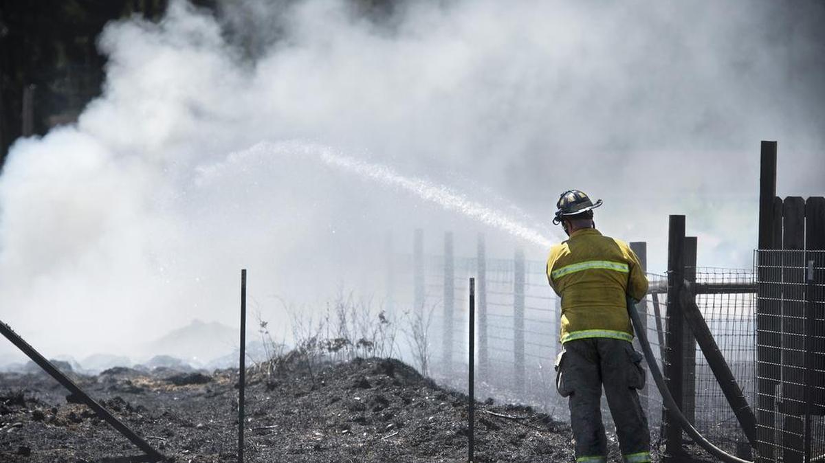 
A West Thurston firefighter hoses down hot spots at a grass fire that came within feet of several homes on Bonnie Lane in Rochester on Friday, July 31, 2015.
