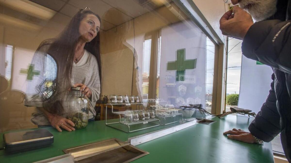 A patient examines some marijuana in December 2015 in owner/operator Christy Stanley’s medical marijuana collective, The Green Tiki Cannabis Company, in Tacoma. Rules governing medical marijuana are set to go into effect July 1, 2016, but the state says a database of patients may not be ready in time.