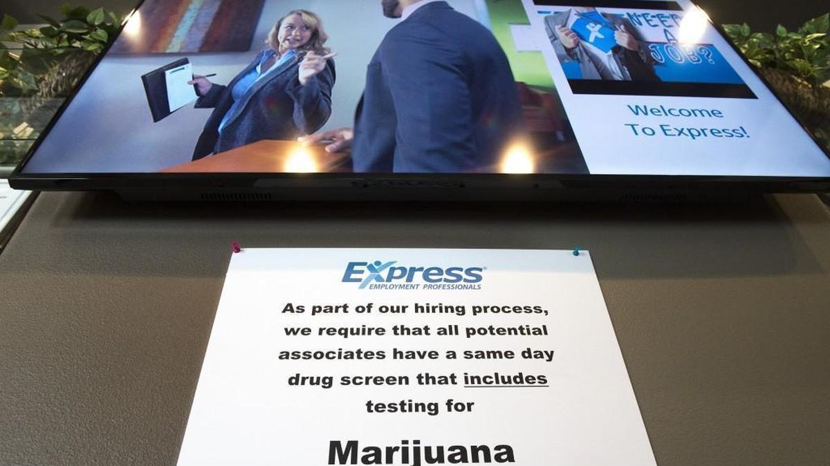 With more than 20 percent of successful job candidates at Express Employment Professionals failing pre-employment drug testing for marijuana, the company has put up a sign reminding applicants that they will be tested. The west-side Olympia employment office in nearly all cases rescinds the job offer.